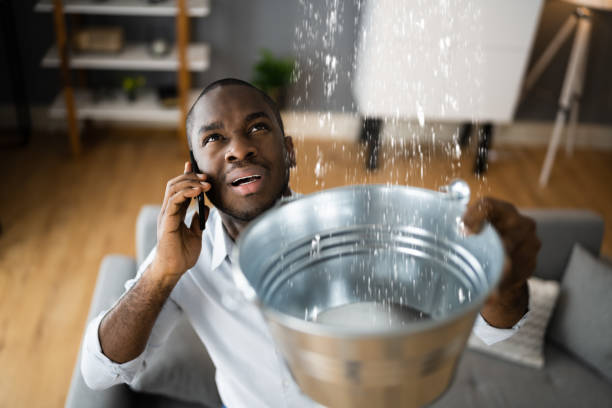 Best Basement water damage restoration  in Basye, VA