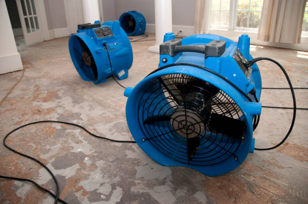 Best Water damage restoration near me  in Basye, VA