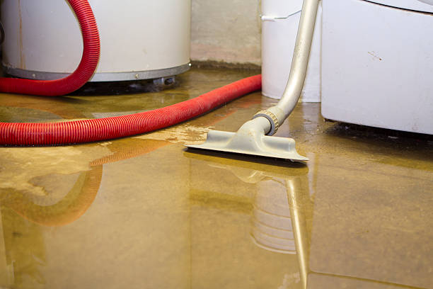 Best Water damage repair service  in Basye, VA