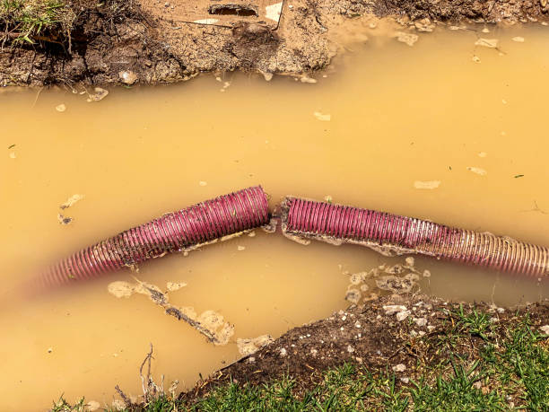 Best Residential water damage restoration  in Basye, VA